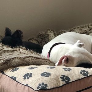 Meet your Posher, Terri